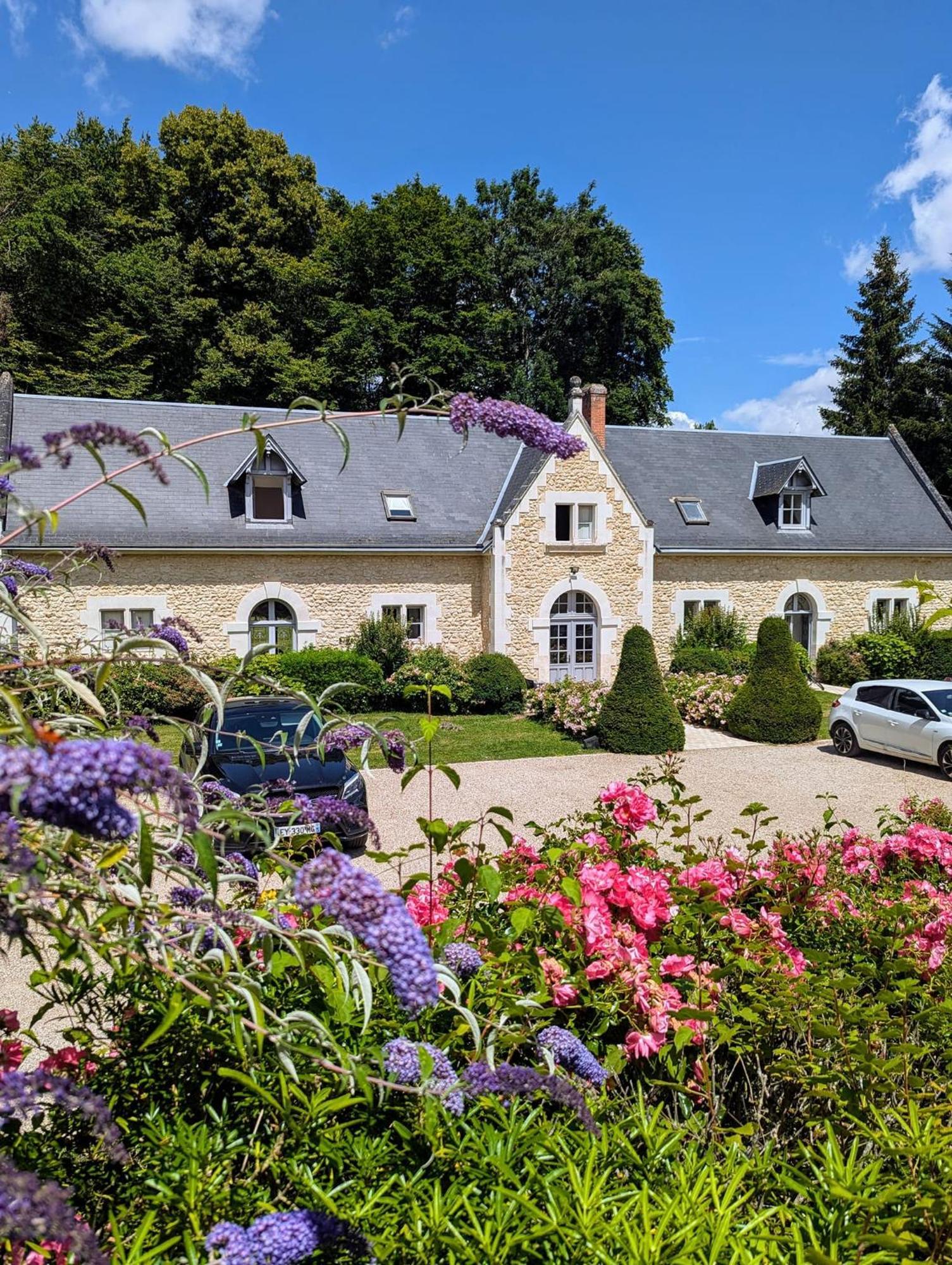 Chateau De La Menaudiere Chissay-en-Touraine Zewnętrze zdjęcie