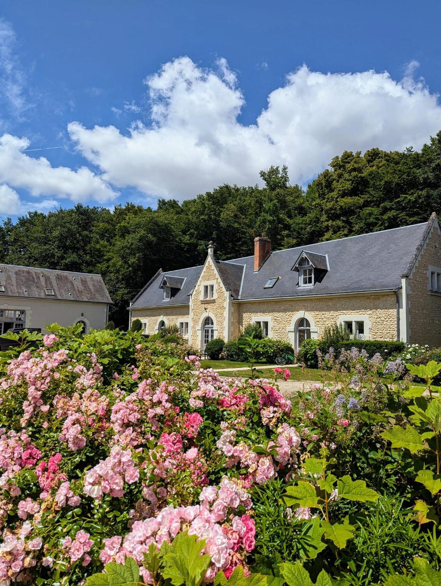 Chateau De La Menaudiere Chissay-en-Touraine Zewnętrze zdjęcie